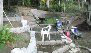 Backyard wall in November 2010